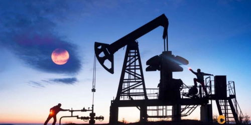 歐佩克維持產(chǎn)量不變疊加美聯(lián)儲風(fēng)險(xiǎn)預(yù)警，國際石油市場面臨復(fù)雜考驗(yàn)